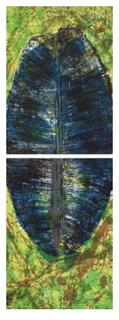 Global Leaf (Diptych) by Dar&iacute;o &Aacute;lvarez Basso