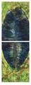 Global Leaf (Diptych) by Dar&iacute;o &Aacute;lvarez Basso