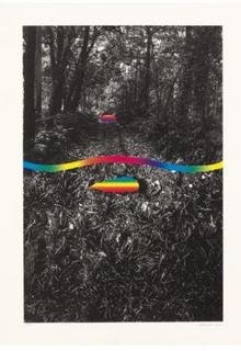 Sinais e Sabedoria da Floresta by Alberto Carneiro