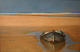 Conil by Carlos Marijuan
