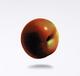 Apple by Thomas Jocher