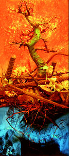 Apocalipse by Xabier Bande