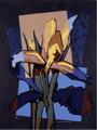 Iris by M&ordf; Luisa Sanz