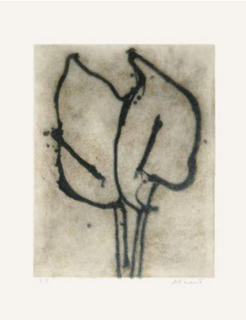 Two Lilies by Michelle Stuart