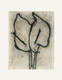 Two Lilies by Michelle Stuart