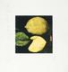 Three Lemons, Jan. 4 2005 by Donald Sultan