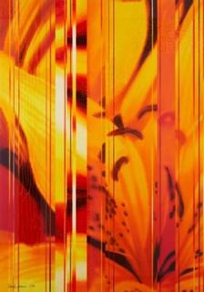Giallo Pv 35/A by Dany Vescovi