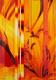 Giallo Pv 35/A by Dany Vescovi