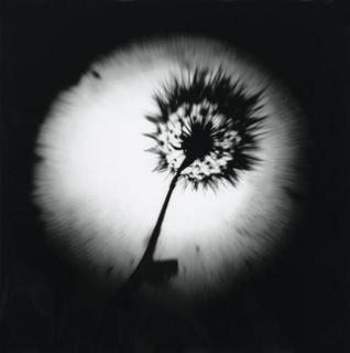 Yearning for Life. The Reproduction I by Tomy Ceballos