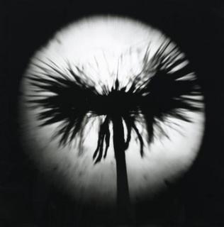 Yearning for Life. The Reproduction III by Tomy Ceballos