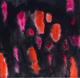 Red Rain by PLATA