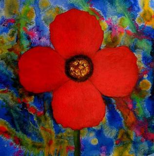 Red Poppy by Peter McCarthy