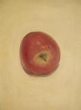 Apple by Molleda